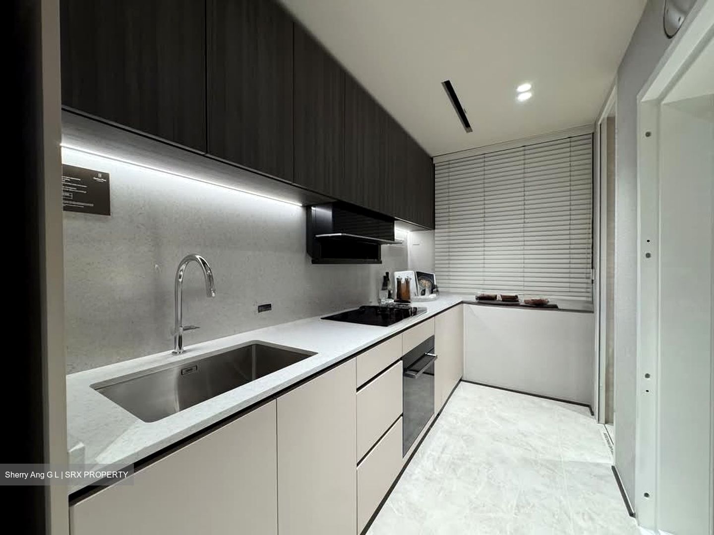 Hudson Place Residences (U/C) (D5), Apartment #603064641